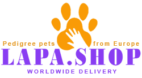 lapashop shop